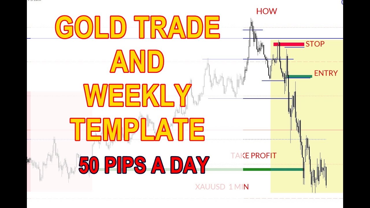 Unlock the Secrets of Successful Gold Trading: 50 Pips Daily!