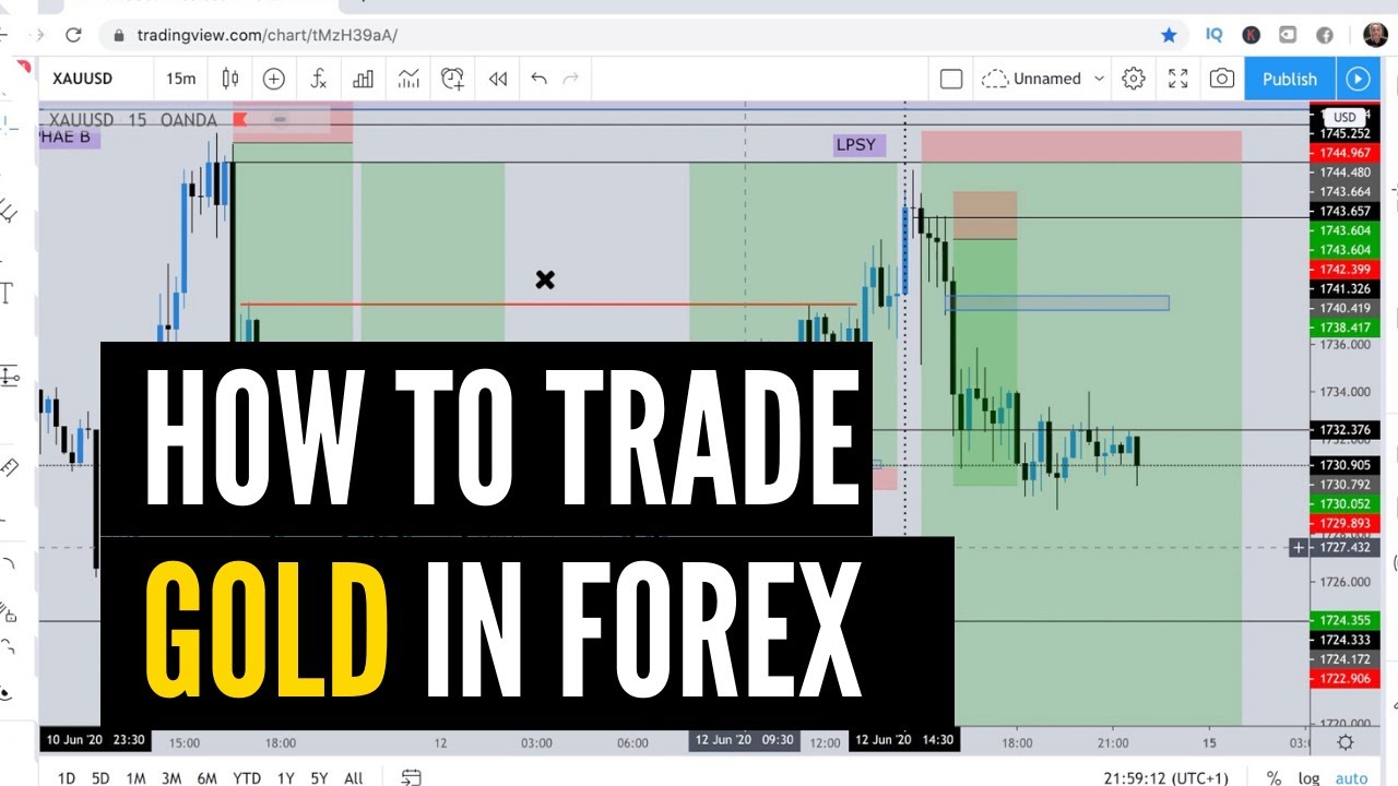 Revamp: Uncover the Winning Strategy for Trading Forex GOLD!