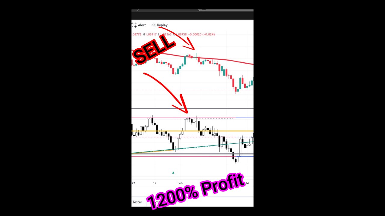 $8000 Profit with Top Tradingview Indicator – Check it Out!