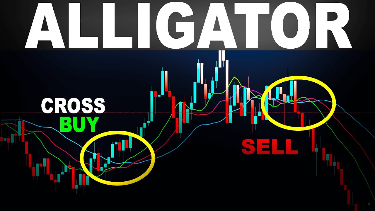 Discover how Williams Alligator Indicator boosts your Forex Day Trading.