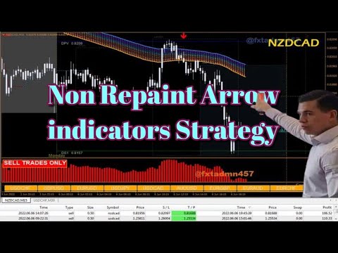 “Discover the Holy Grail of Forex Trading with MT4 Arrow Indicator”