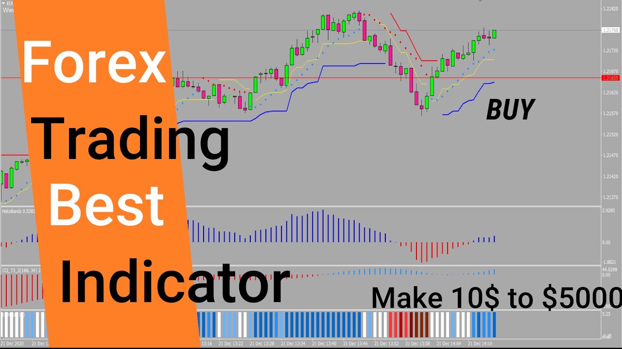 Discover the Ultimate Forex Trading Tool for Novices – Scalping Indicator